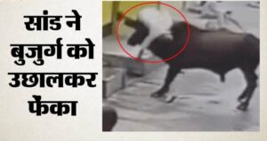 CG News: सड़क पर बेकाबू सांड का तांडव, सींग से उठाकर बुजुर्ग को पटका; छह लोग हुए घायल