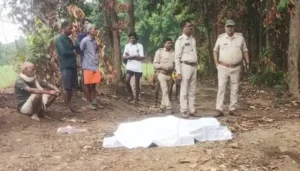 बलरामपुर में हाथी का कहर: दंपती को दौड़ाकर कुचला, दोनों की मौके पर मौत