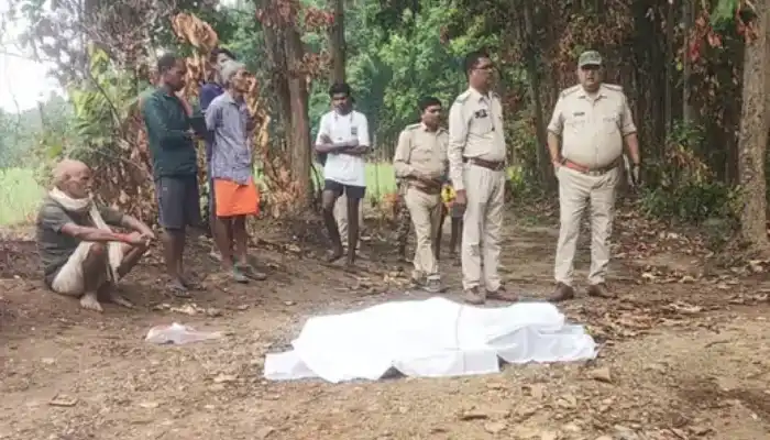 बलरामपुर में हाथी का कहर: दंपती को दौड़ाकर कुचला, दोनों की मौके पर मौत