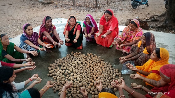 सीड बॉल बनाकर प्रकृति संरक्षण की अनूठी पहल, हरित जशपुर के निर्माण पर जोर, मानसून पूर्व तैयार किए जा रहे 80 हजार सीड बॉल, ग्रामीणों और महिलाओं की सक्रिय भागीदारी