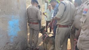 CG News: 26 वर्षीय युवक की बेरहमी से हत्या, इलाके में दहशत, पुलिस जांच में जुटी
