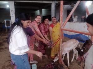 Raigarh: तेरह दिवसीय मंगल पाठ का भव्य समापन, दीपोत्सव से जगमगाया मंदिर प्रांगण, सामूहिक दीपदान और मंगल पाठ पुस्तक का विमोचन