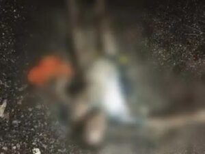 Raigarh News: महिला की अधजली लाश मिली, पहचान छिपाने के लिए चेहरा जलाया,  मौके पर पहुंची फॉरेंसिक और डॉग स्क्वायड, जांच में जुटी पुलिस