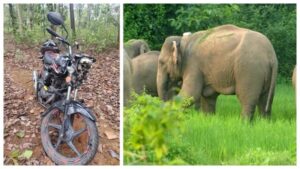 CG News: जंगल में दंतैल हाथी का हमला; ग्रामीण ने भागकर बचाई जान, बाइक चकनाचूर