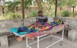CG News: मधुमक्खियों के हमले में सास की मौत, दामाद गंभीर रूप से घायल