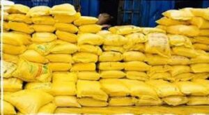 CG: कालाबाजारी पर शासन-प्रशासन सख्त,  अवैध उर्वरक भंडारण पर बड़ी कार्रवाई, 275 बोरी यूरिया जब्त