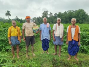 Raigarh: लैलूंगा के पाकरगांव के सुगंधित जवांफूल चावल की खुशबू पहुंच रही मुख्यमंत्री निवास तक, 10 एकड़ में सामूहिक खेती कर किसान बदल रहे समृद्धि की तस्वीर