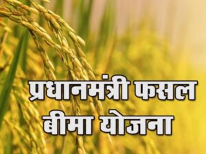 Raigarh News: 31 जुलाई तक कराएं फसल बीमा, खरीफ 2026 के लिए अधिसूचना जारी, धान सहित सात प्रमुख फसलों को प्राकृतिक आपदाओं और उत्पादन जोखिम से मिलेगा सुरक्षा कवच