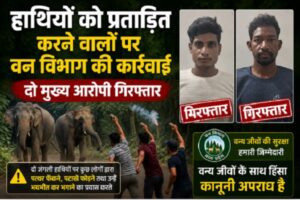 Raigarh News: हाथियों को पत्थर और पटाखों से डराना पड़ा भारी, वन विभाग ने दो मुख्य आरोपियों को किया गिरफ्तार