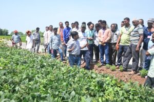 Raigarh News: जिले में जैविक एवं प्राकृतिक खेती को बढ़ावा देने के लिए किसानों को दिया जा रहा तकनीकी प्रशिक्षण