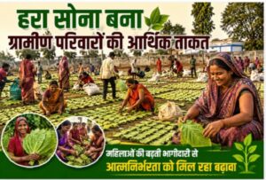 हरा सोना बना ग्रामीण परिवारों की आर्थिक ताकत, महिलाओं की बढ़ती भागीदारी से आत्मनिर्भरता को मिल रहा बढ़ावा