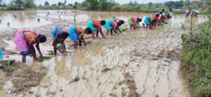 Raigarh: ’किसानों के लिए मददगार विष्णु देव साय सरकारः रायगढ़ के 33 हजार किसानों को मिली 113.47 करोड़ रुपए की अग्रिम सहायता’