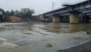 लगातार बारिश से उफान पर केलो नदी, डैम के चार गेट खोले गए