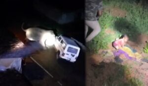 Raigarh News: हाथी के हमले से दो लोगों की मौत, बाल बाल बची एक बच्ची की जान, वन विभाग की गाड़ी पर भी किया हमला