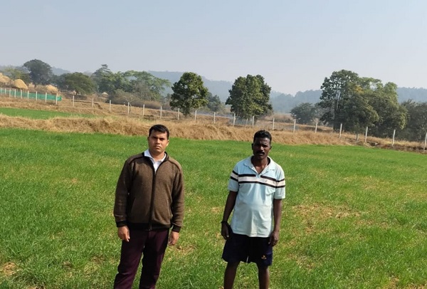 कम लागत, दोगुना फायदा : जशपुर के किसान ने गेहूं की खेती से बढ़ाई आमदनी, मुख्यमंत्री विष्णुदेव साय की पहल से कृषि विभाग के मार्गदर्शन का किसानों को मिल रहा लाभ