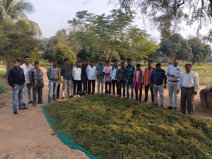 धान के कटोरे में महकने लगी औषधियों की खुशबू, छत्तीसगढ़ के 12 हजार से अधिक किसानों की बदली तकदीर