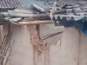 Ragarh News: रात के अंधेरे में बस्ती तक पहुंच रहे हाथी, मकान-फसल को पहुंचाया नुकसान, धरमजयगढ़ में 106 हाथियों की मौजूदगी