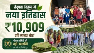 CG: तेंदूपत्ता बिक्री में टूटा 38 साल का रिकॉर्ड, 4 हजार परिवारों की चमकी किस्मत