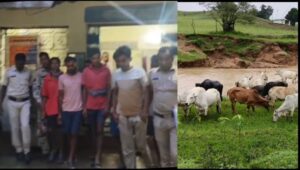 Jashpur News: ऑपरेशन शंखनाद में जशपुर पुलिस की बड़ी कार्रवाई, 37 गौवंश और 7 भैंस मुक्त, 7 तस्कर गिरफ्ता