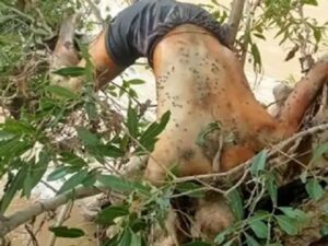 Raigarh News: नदी किनारे झाड़ियों में फंसे मिली ग्रामीण की लाश, 9 दिनों से लापता था शख्स, मामले में पुलिस की जांच जारी