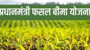Raigarh: सिर्फ दो दिन शेष, 31 जुलाई तक कराएं फसल बीमा, धान सहित सात प्रमुख फसलों को प्राकृतिक आपदाओं और उत्पादन जोखिम से मिलेगा सुरक्षा कवच