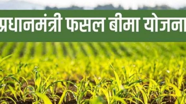 Raigarh: सिर्फ दो दिन शेष, 31 जुलाई तक कराएं फसल बीमा, धान सहित सात प्रमुख फसलों को प्राकृतिक आपदाओं और उत्पादन जोखिम से मिलेगा सुरक्षा कवच