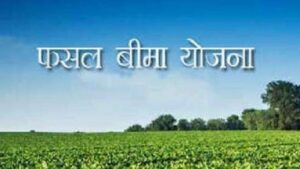 31 जुलाई तक कराएं बागवानी फसलों का बीमा, प्राकृतिक जोखिमों से मिलेगी आर्थिक सुरक्षा, फसल बीमा योजना के तहत टमाटर, बैंगन, मिर्च, अदरक, केला, पपीता और अमरूद फसलें शामिल