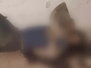 Raigarh News: युवक की खून से लथपथ हालत में मिली लाश, सिलबट्टे से कुचलकर की गई हत्या, पुलिस जांच में जूटी