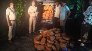 जशपुर पुलिस का बड़ा एक्शन,  तीन लग्जारी कारों से 552 किलो गांजा जब्त, करोड़ों में बताई जा रही कीमत