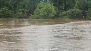 CG: उफनते नाले में बही बिजली विभाग की पिकअप, 3 कर्मचारियों ने तैर कर बचाई जान, एक कर्मचारी की तलाश में रेस्क्यू जारी
