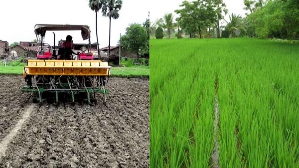 खण्ड एवम अल्प वर्षा की संभावनाओं के बीच किसानों से सरकार का अपील, धान की खेती रोपा पद्धति के बजाय सीधी बुवाई पर दे विशेष जोर