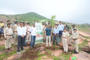 Raigarh: पथरीली पहाड़ियों को हराभरा बनाने रायगढ़ वन विभाग की अभिनव पहल, खरसिया के बोतल्दा में 5 हेक्टेयर क्षेत्र में 5 हजार पौधों का प्रायोगिक रोपण 