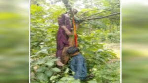 Surajpur News: जंगल में पेड़ से लटकी मिली प्रेमी जोड़े की लाश, एक ही दुपट्टे से उठाया खौफनाक कदम!