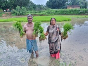 Raigarh: डीएमएफ और विभागीय योजनाओं की मदद से लैलूंगा में सुगंधित जवाफूल की खेती को मिल रहा विस्तार, 1200 किसानों को ढैंचा बीज सहित विभिन्न कृषि आदानों पर अनुदान सहायता