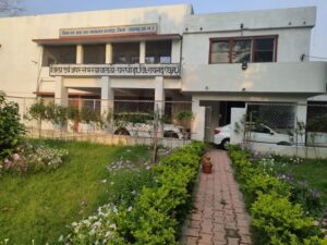 Raigarh: महिला की गोली मारकर हत्या, सगे भाई-बहन को आजीवन कारावास, घरघोड़ा न्यायालय ने सुनाया फैसला