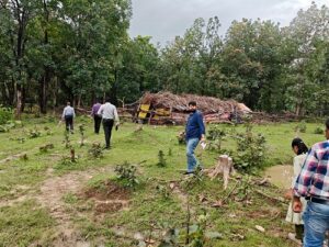 Chhattisgarh News: मलेरिया के खिलाफ जंगलों में उतरा स्वास्थ्य विभाग, वनांचल क्षेत्रों में बढ़ाई निगरानी