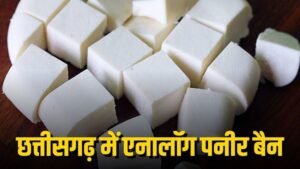 खाद्य एवं औषधि प्रशासन का सख्त कदम, पनीर एनालॉग उत्पादों पर प्रतिबंध; नियम उल्लंघन पर होगी कड़ी कार्रवाई