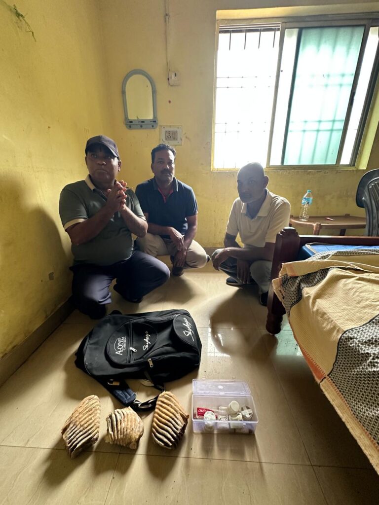हाथीदांत तस्करी पर वन विभाग की बड़ी कार्रवाई, वन्यजीव संरक्षण अधिनियम के तहत तीन आरोपी गिरफ्तार, न्यायिक हिरासत में भेजे गए