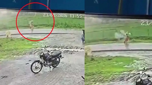  CG News: महिला के सिर पर आसमान से गिरी बिजली : मुंगेली जिले के पंडरभट्ठा गांव में खेत से घर लौटते वक्त हादसा, देखिए CCTV फुटेज 