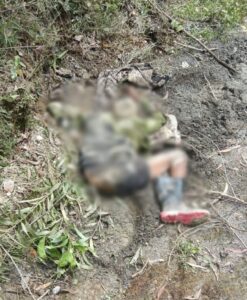 CG News: जंगल में भैंस चरा रहा था, अचानक  हाथी ने किया हमला, ग्रामीण की मौत, वन विभाग ने लोगों से सावधानी बरतने की अपील