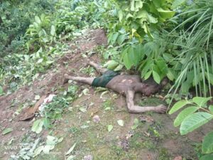 CG News: लोनर हाथी के हमले से किसान की मौत, ग्रामीणों में दहशत