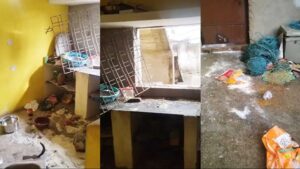 CG: हाथी का उत्पात;  खा गया घर का राशन, किसानों और ग्रामीणों की बढ़ी चिंता, किसानों और ग्रामीणों की बढ़ी चिंता
