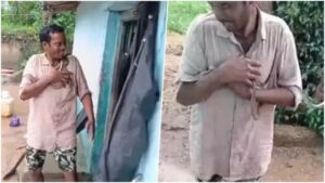 CG News: नशे में गले में जहरीला सांप डालकर घूमता रहा युवक, कई बार डसे जाने पर अस्पताल पहुंचा, वहां से भी भागा