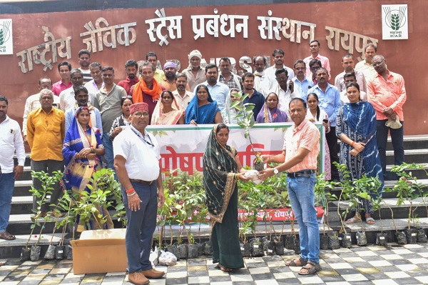 आईसीएआर-एनआईबीएसएम द्वारा ‘पोषण वाटिका’ पर प्रशिक्षण कार्यक्रम आयोजित, 62 किसान हुए लाभान्वित, जिनमें 10 महिला किसान भी शामिल