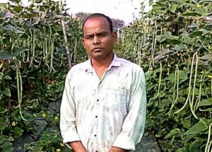 Raigarh: खेती का तरीका बदला तो बढ़ा उत्पादन और मुनाफा, राज कुमार साहू ने बरबटी और खीरा की खेती से कमाया 2.70 लाख रुपये का शुद्ध लाभ