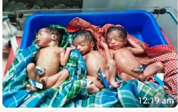  स्वास्थ्य विभाग की तत्परता से पहाड़ी कोरवा महिला ने तीन स्वस्थ नवजात शिशुओं को दिया जन्म