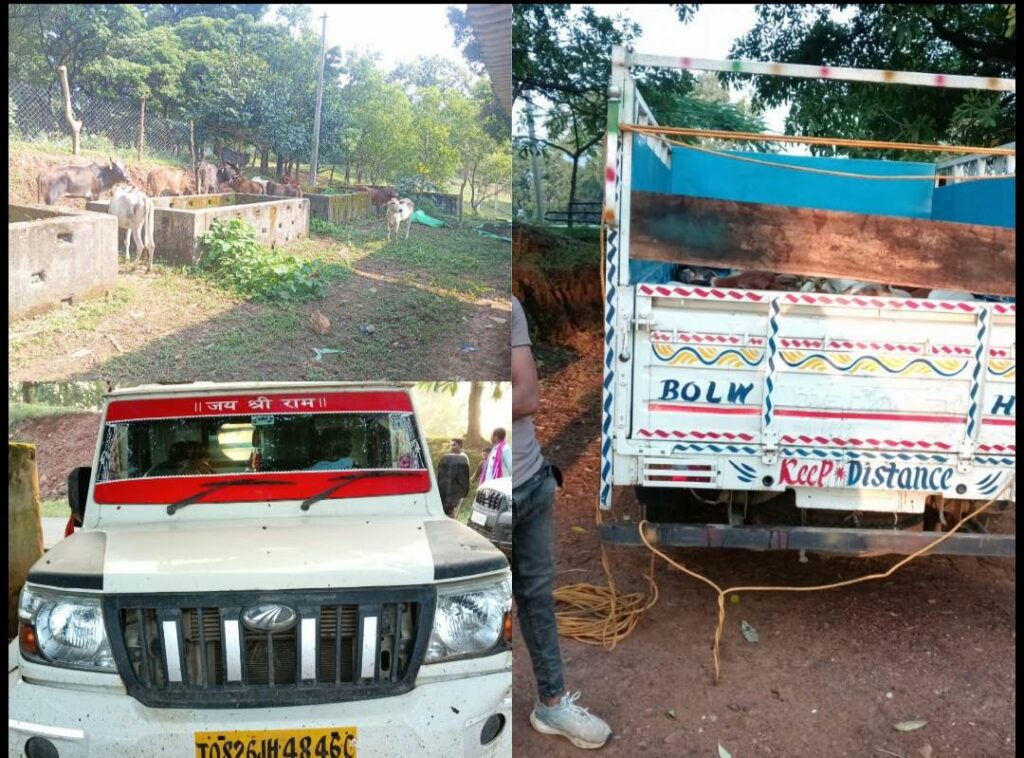 Raigarh News: पिकअप में क्रूरतापूर्वक भरे मिले 13 गौवंश, पुलिस ने तस्करी की कोशिश की नाकाम, एक आरोपी गिरफ्तार, ₹11.04 लाख की जप्ती, झारखंड-उड़ीसा की ओर ले जाए जा रहे थे तस्कर 