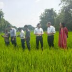 Raigarh news: खेत में पहुंचकर कलेक्टर ने देखा डिजिटल क्रॉप सर्वे का काम, शत-प्रतिशत, पारदर्शी एवं त्रुटिरहित ई-गिरदावरी सुनिश्चित करने के दिए निर्देश