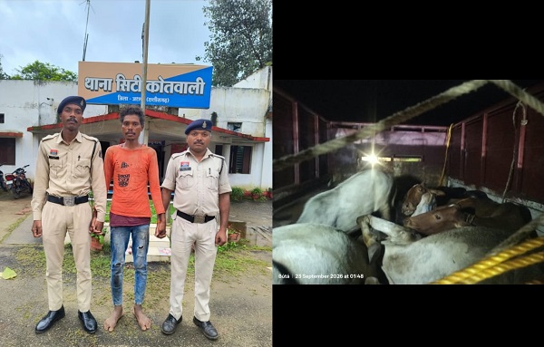 जशपुर में गौवंश तस्करी पर पुलिस की बड़ी कार्रवाई, 17 गौवंश मुक्त; एक आरोपी गिरफ्तार