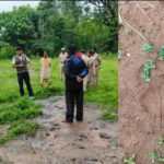 सुकमा वन क्षेत्र में बाघ की मौजूदगी के संकेत, ग्रामीणों को सतर्क रहने की अपील, वन विभाग की टीमें निगरानी में जुटीं